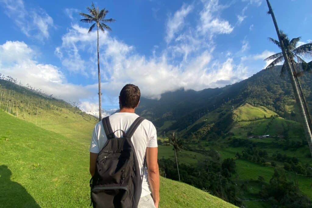 cocora valley3